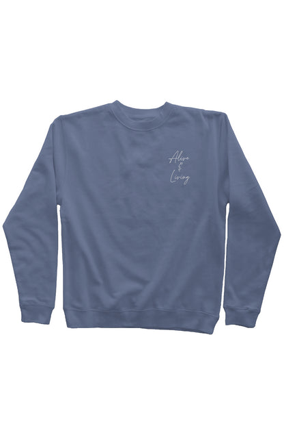 Slate Blue Independent Pigment Dyed Crew Neck